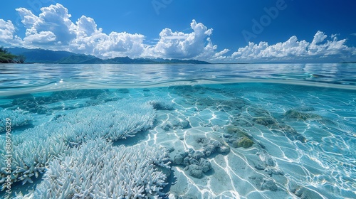 The phenomenon of coral bleaching, triggered by ocean acidification, jeopardizes the survival of diverse marine species reliant on these reefs for shelter and sustenance. photo