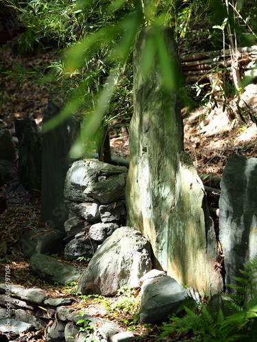 石で作成された猪垣（イノシシ防止の策）
