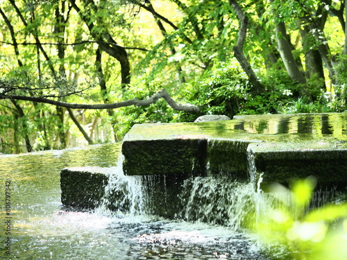 夏らしい自然の中に作成した井戸形状の噴水