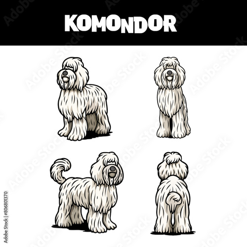 Vector Illustrated Komondor Hungarian Sheep Dog Breed Character Sheet