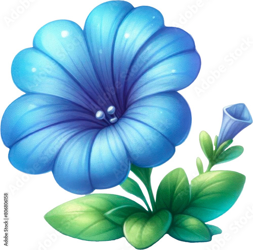 Amazing periwinkle flower isolated on a transparent background. Cut out  close-up.