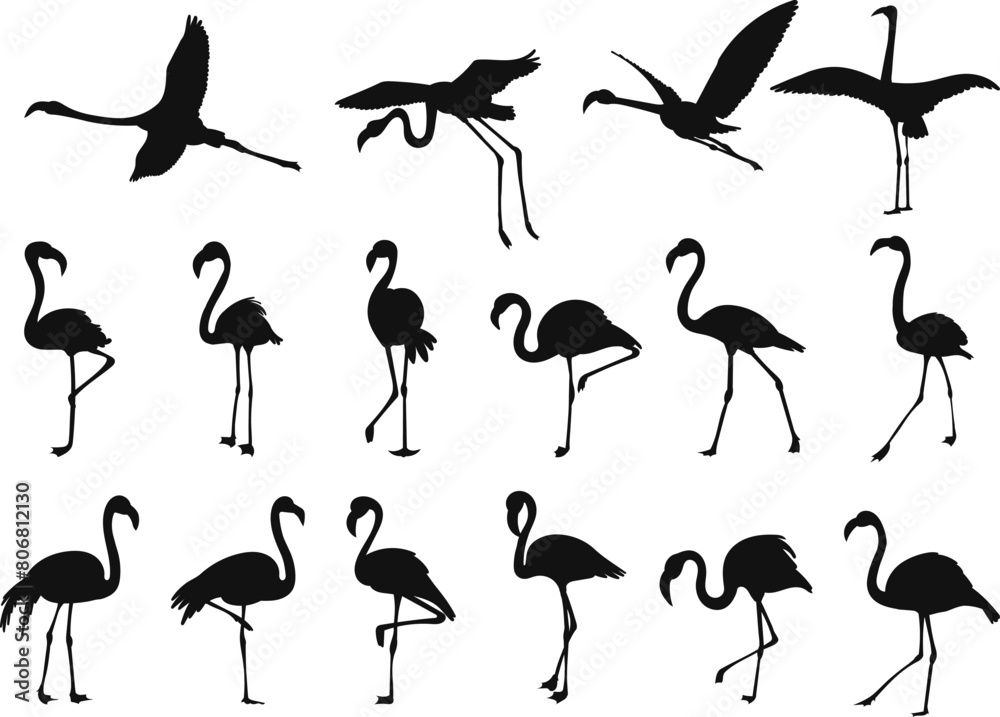 Obraz premium flamingo silhouette set on white background vector