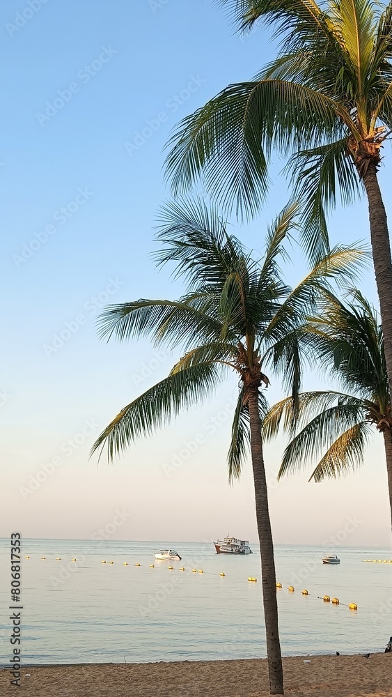 Obraz premium palm trees on the beach