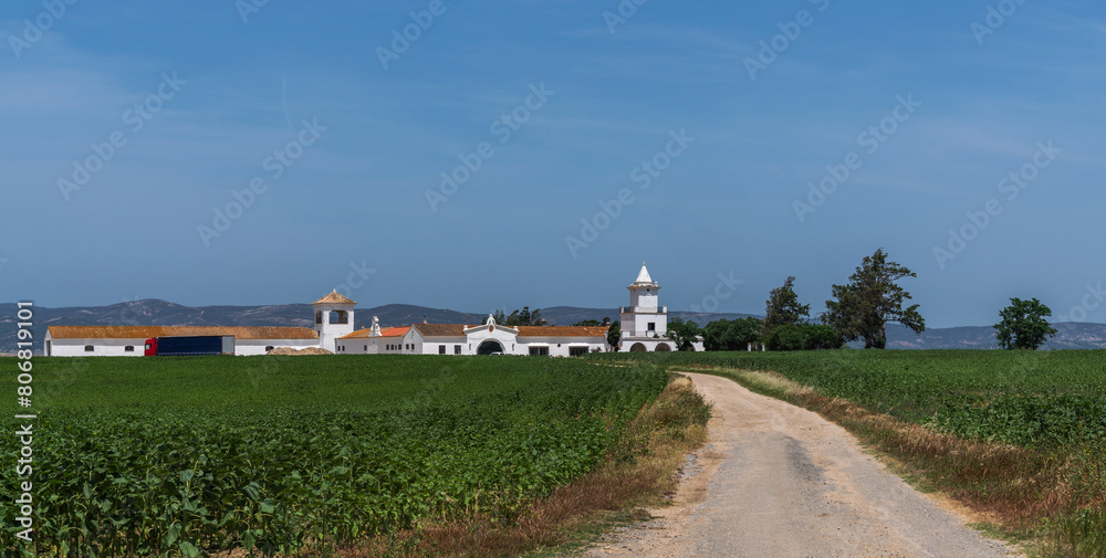 Fototapeta premium Beautiful old agricultural farm in Spain. Rural landscape of farm with dirt road entrance and fields on the side of the road, located in the rural areas of northern spain.