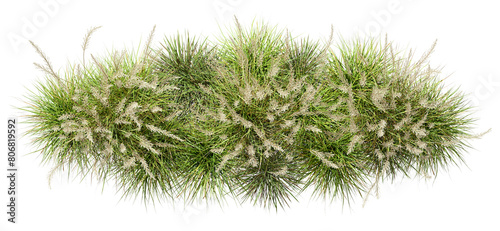 Top view flowery grassy meadow group on transparent backgrounds 3d rendering png