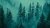   A forest filled with many tall pine trees in fog In the distance, fog prevails