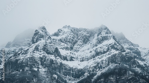   A towering mountain, completely cloaked in snow, stands adjacent to a forest densely populated with snow-laden trees