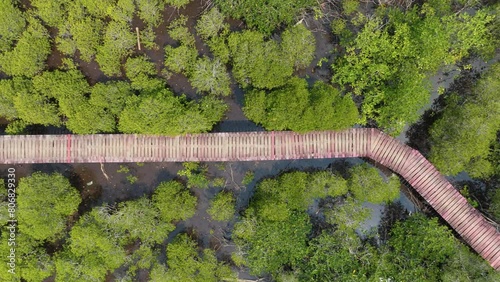 Natural trail route in the mangrove forest. at trad province thailand, aerial top view from drone 4k video photo