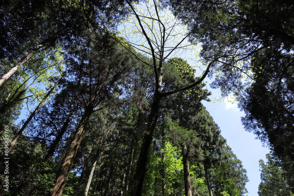 Obraz premium 日本 茨城の風景