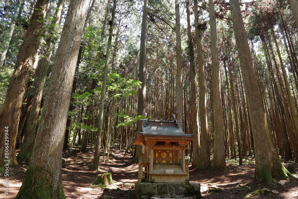 Naklejka premium 日本 茨城の風景