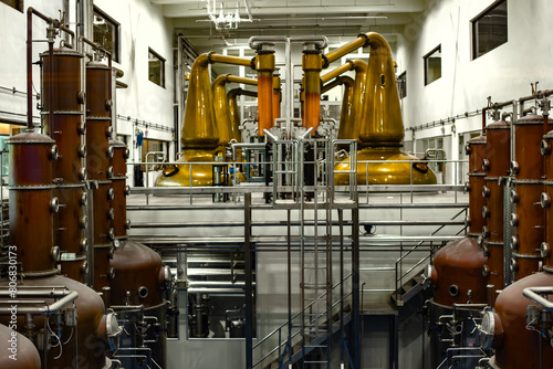 Distillerie de whisky dotée de tout l'équipement nécessaire à la production, dont ses alambics en cuivre photo