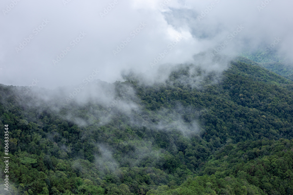 Selective focus mountains covered with fog Refreshing rainy season mist View from a traveler on the mountain top misty forest mountain background