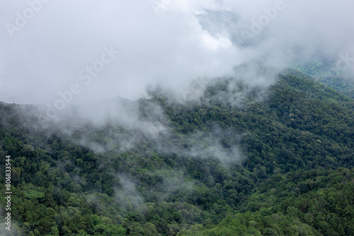 Selective focus mountains covered with fog Refreshing rainy season mist View from a traveler on the mountain top misty forest mountain background