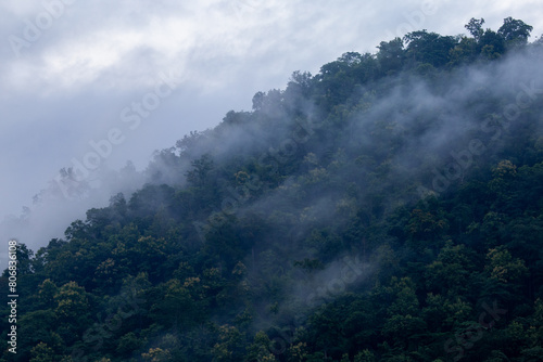 The background texture of mountains in the rainy season and the icy rain fog feels cool and refreshing with the green color of the forest that is cool and pleasing to the eye. © Core