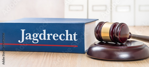 Gesetzbuch mit Richterhammer - Jagdrecht