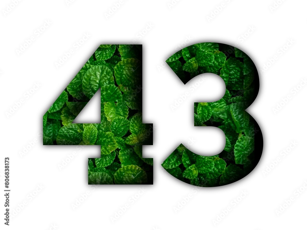 Design number 43 with leaf texture on white background. Design number 43 with leaf texture on white background.