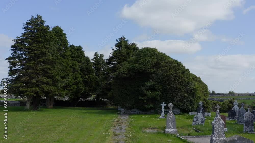 Cargin Church and cemetery with walls overgrown by plants Cargin Church and cemetery with walls overgrown by plants