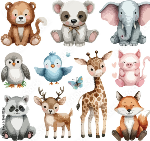 Photography watercolor zoo cute animal color vector set