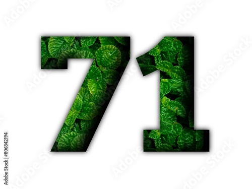 Design number 71 with leaf texture on white background.