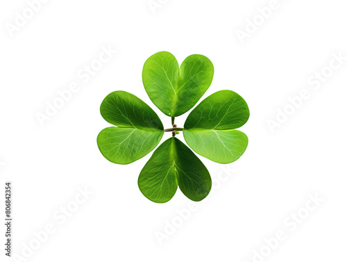 a four leaf clover with four leaves