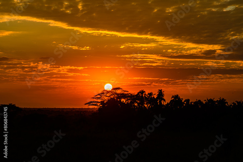 Landscape at the Serengeti national park at sunset, Tanzania