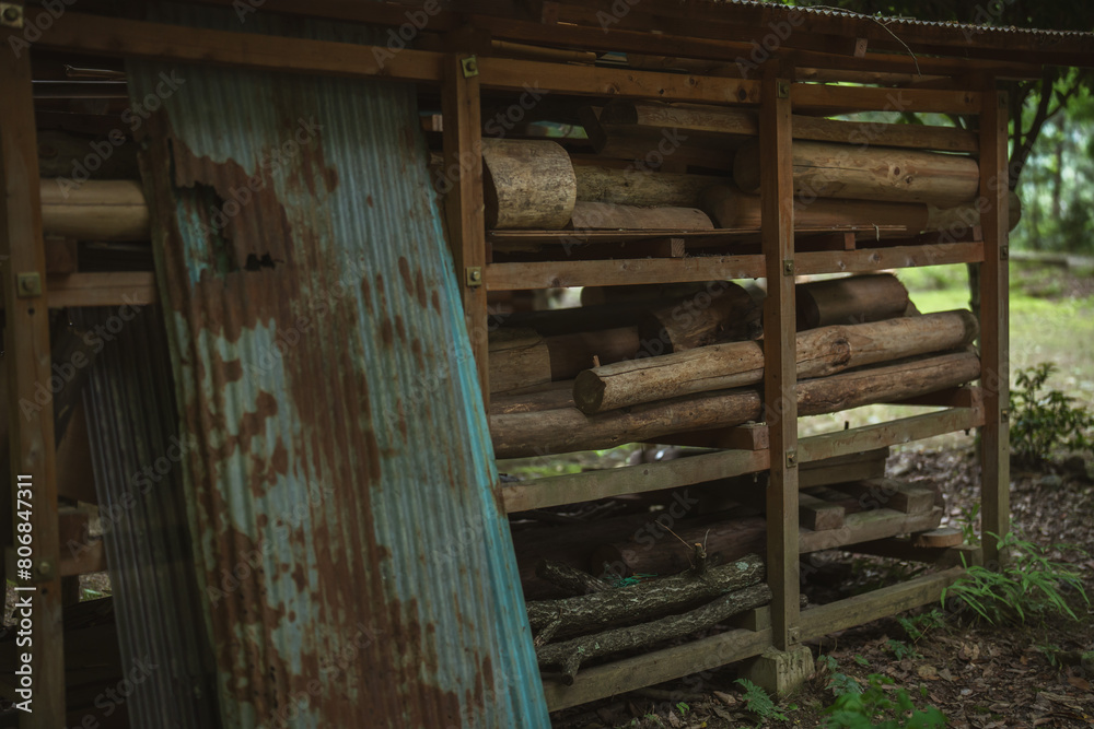 Obraz premium 森の中の資材置き場 薪 燃料