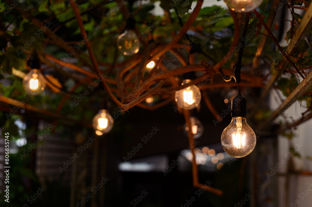vintage light bulb hanging from grape tree for decoration outdoor garden.