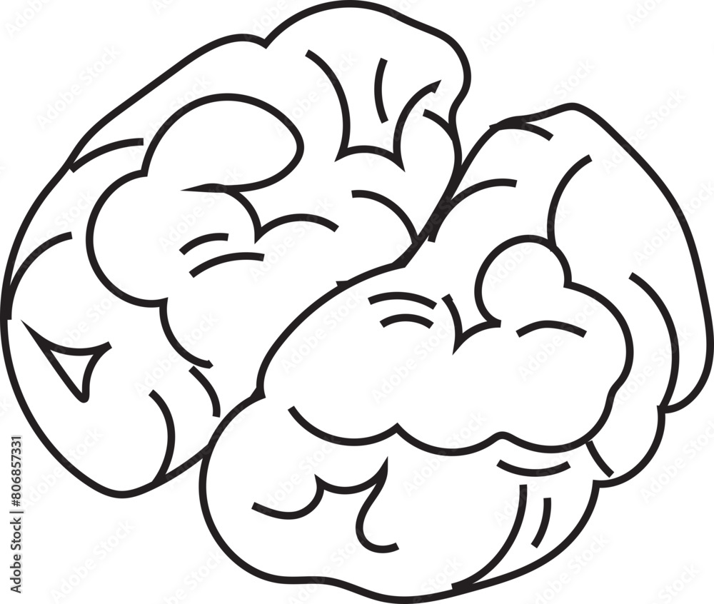 Hand drawn brain illustration on transparent background.
Hand drawn brain illustration on transparent background.