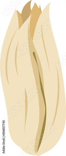 Champaka flower illustration on transparent background.

