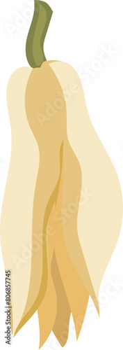 Champaka flower illustration on transparent background.
