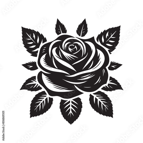 black and white rose flower illustration