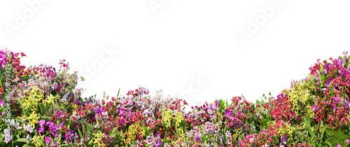3D render garden decorated with orchids Multiple formats on a transparent background photo