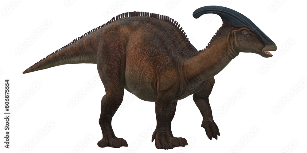 Parasaurolophus on a Transparent Background Parasaurolophus on a Transparent Background