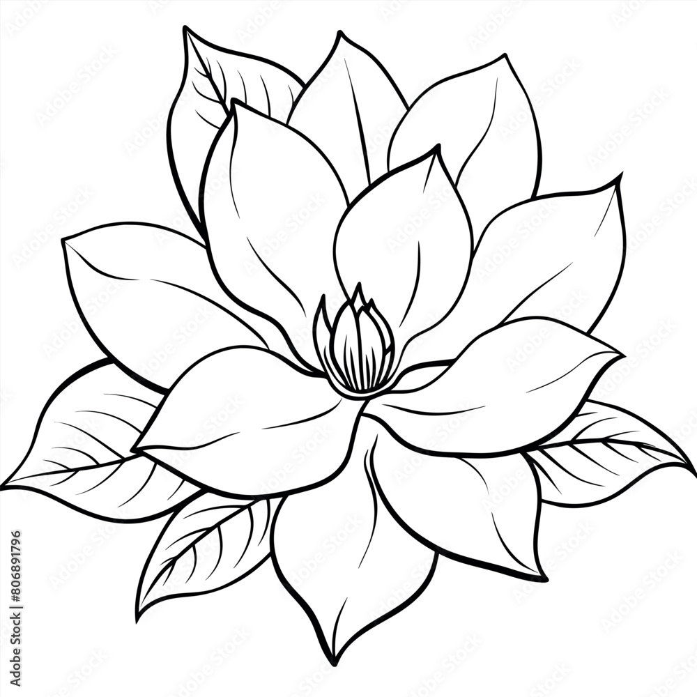 Fototapeta premium Magnolia flower outline illustration coloring book page design,Magnolia flower black and white line art drawing coloring book pages for children and adults