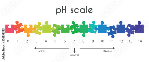 Scale of pH values for acid-base solution in form of puzzles. Infographics of acid-base balance isolated on white background. Indicator of hydrogen ion concentration in solution. Vector illustration.