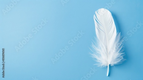 Feather close ,up macro on blue background, Selective focus, blurred focus, abstraction ,White feather on blue background Copy space for text or design, White wing soft quill fluffy softness feather 