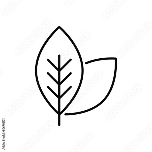 Leaves vector icon