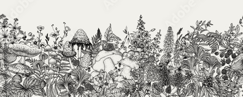 Seamless horizontal pattern  forest plants. Mushrooms, flowers, berries. Fly agaric, porcini mushroom, honey mushrooms, oyster mushrooms, violets, cloudberries photo