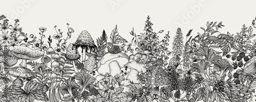 Seamless horizontal pattern  forest plants. Mushrooms, flowers, berries. Fly agaric, porcini mushroom, honey mushrooms, oyster mushrooms, violets, cloudberries