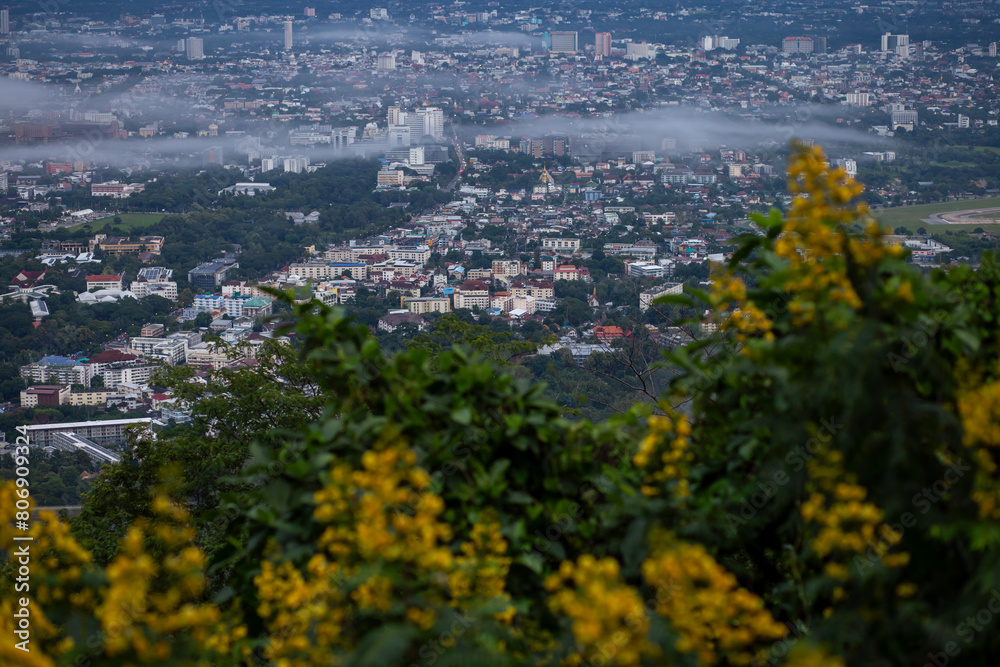 Fototapeta premium High-angle view of the city There are yellow flowers in the foreground. Many buildings in Chiang Mai, Thailand