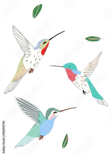 PNG Hummingbirds animal flying creativity