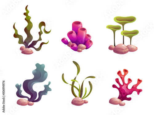 Cartoon set of sea plants and corals.