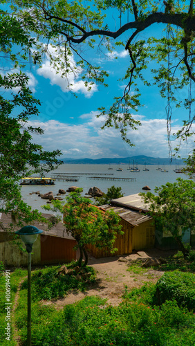 Fazenda Ostras Cultivo Marisco Produção Moluscos Água Salgada Criação Sustentável Colheita Alimentos Marinhos Viveiro Mangue Agricultura Marítima Conchas Oceano Fazendinha Ostras Frescas  photo