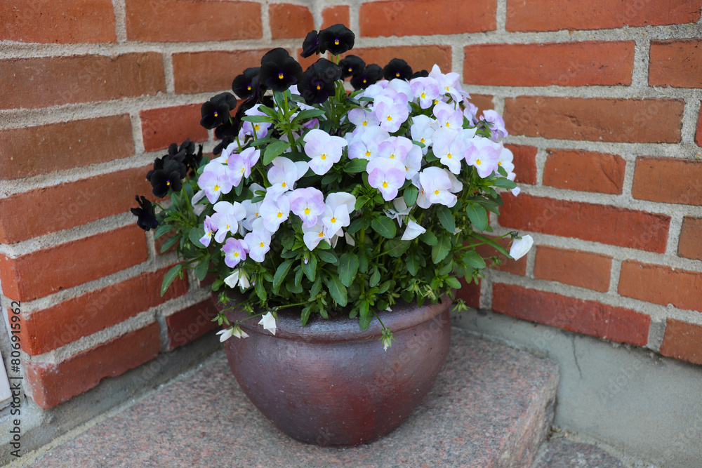 decorative ceramic vases with colorful flowers on the city streets