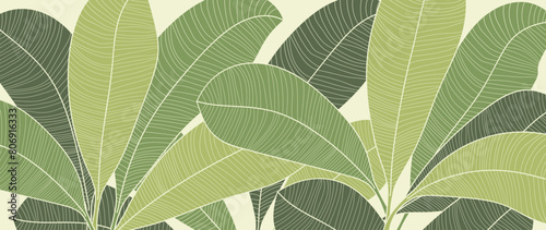 Green banana leaf background vector. Tropical leaves wallpaper design for prints, poster, home deco.