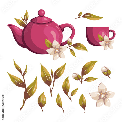 Vector set of tea illustrations. Teapot, cup and branches.