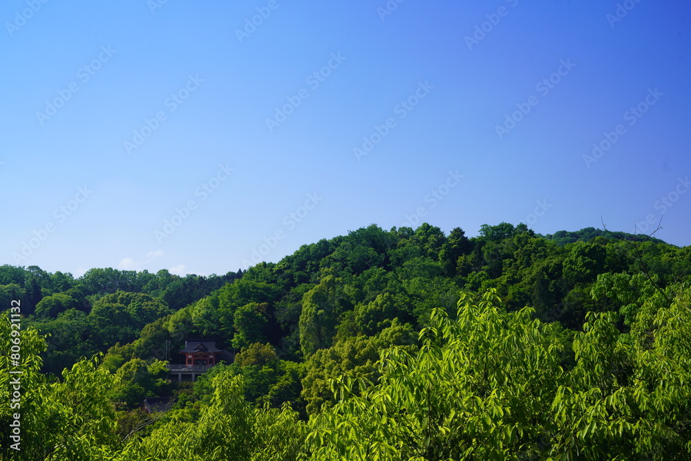 新緑の季節の緑が美しい春の里山風景　山の上から見た新緑と青空