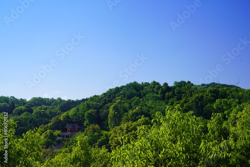 新緑の季節の緑が美しい春の里山風景 山の上から見た新緑と青空