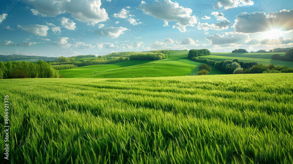 Fototapeta premium Rich green fields