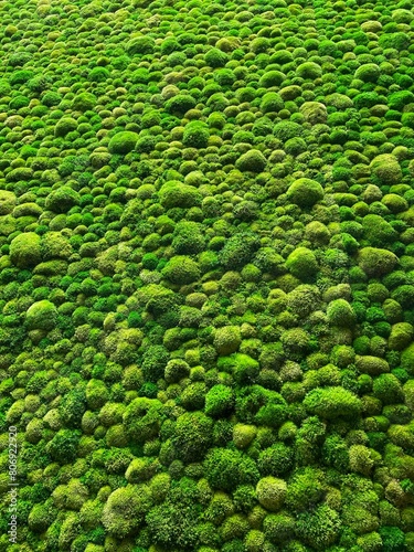 Vertical moss garden. Eco friendly green wall.